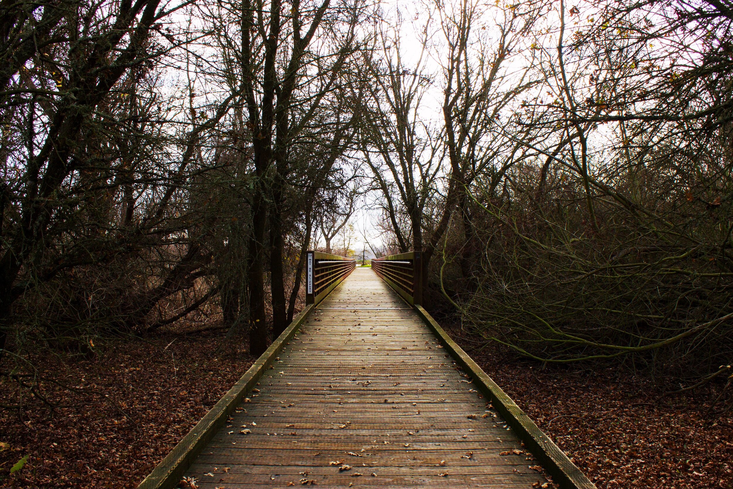 Photography by Travis Straub